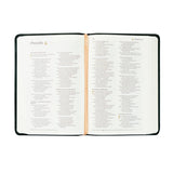 NLT Compact Bible: Jerusalem Theme