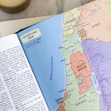 KJV Study Bible, Large Print [Gold Evergreen]