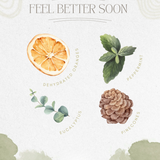 Feel Better Soon Simmer Pot | Orange Peppermint Eucalyptus