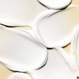 Shea Butter Lotion -  Champagne Hour 1.5 oz.