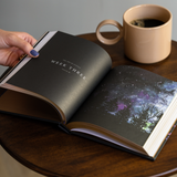 Bible Study: Wonder by Alicia Hamilton