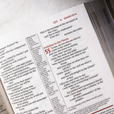 NIV Study Bible Fully Revised Edition