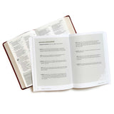 Sermon on the Mount Bible Study Book with Video Access