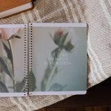 Eden to Eternity | The Chronological Story of Scripture | Volume 3 (Spiral Bound)