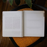 Eden to Eternity | The Chronological Story of Scripture | Volume 4 (Spiral Bound)