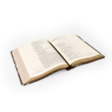 NLT Notetaking Bible: Lijiang Theme