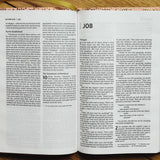 NIV Bible For Teens, Thinline Edition, Pink Leathersoft