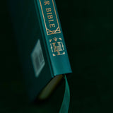 How to Study Your Bible