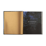 Bible Study: Wonder by Alicia Hamilton