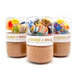 Construction Grab & Go Dough Jar