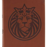 CSB Kids Bible - Leather Lion