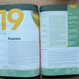 NLT Student Life Application Study Bible - Pink