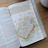 NLT Student Life Application Study Bible - Pink