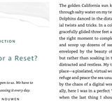 Social Media Reset
