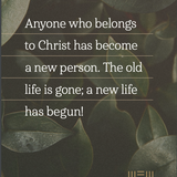 Every Woman’s Scripture Prayer Cards Featuring the New Living Translation
