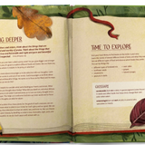 Where Wonder Leads: An Adventure in God’s Wild and Wonderful World