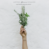Words for a Season - Temporary Tattoos