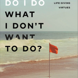 Why Do I Do What I Don't Want to Do?: Replace Deadly Vices with Life-Giving Virtues