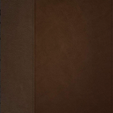 NLT Life Application Study Bible, Third Edition - Brown