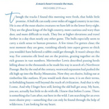 Wild About You: A 60 Day Devotional for Couples