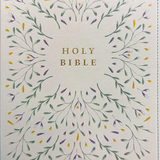 NLT Wide Margin Bible, Filament Enabled