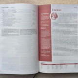 NLT Life Application Study Bible, Third Edition, Personal Size (Leatherlike, Brown/Mahogany, Red Letter).