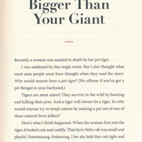 Goliath Must Fall: Winning the Battle Against Your Giants