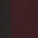 NLT Life Application Study Bible, Third Edition--soft leather-look, brown/mahogany (red letter)