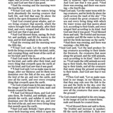 Parallel Bible - PR NIV/KJV Large Print