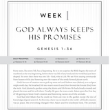 52 weeks through the Bible: a Year-Long Bible Study for Men and Women