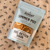 Feel Better Soon Simmer Pot | Orange Peppermint Eucalyptus