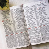 NIV Study Bible Fully Revised Edition