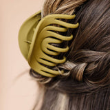Rainbow Claw Clip
