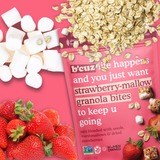 Strawberry Mallow Granola Bites - 3 oz