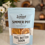 Feel Better Soon Simmer Pot | Orange Peppermint Eucalyptus