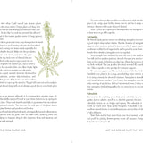 The Homestead Herbal Remedies Guide