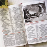 NIV Study Bible Fully Revised Edition