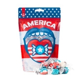 America Salt Water Taffy Bag (7oz)