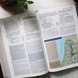 NIV Application Bible Leathersoft Red Letter Comfort Edition