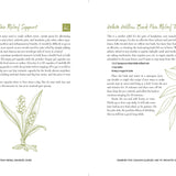 The Homestead Herbal Remedies Guide