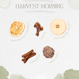 Harvest Morning Simmer Pot | Orange Cinnamon Clove