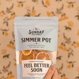 Feel Better Soon Simmer Pot | Orange Peppermint Eucalyptus